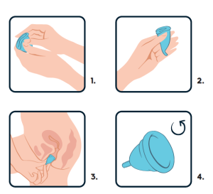 Evelina menstrual cup, how to use.